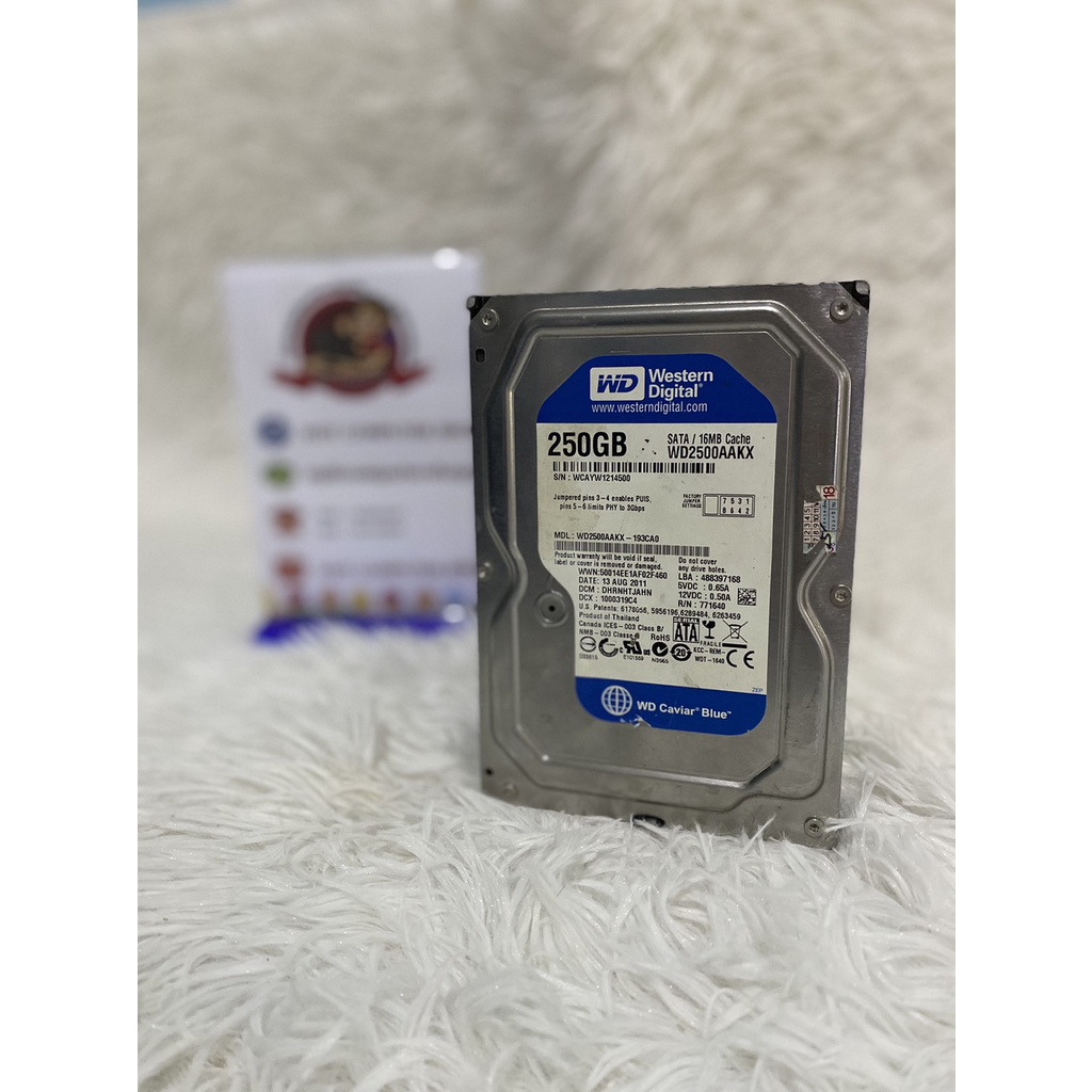 HDD WD Blue 250 GB...