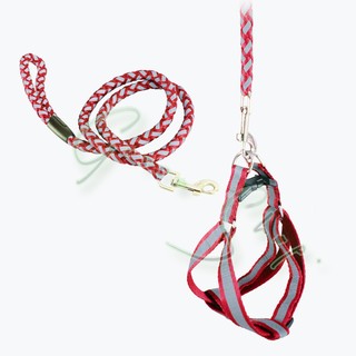 G0303351 Reflex Set Style Leash สายจูงพร้อมรัดอก