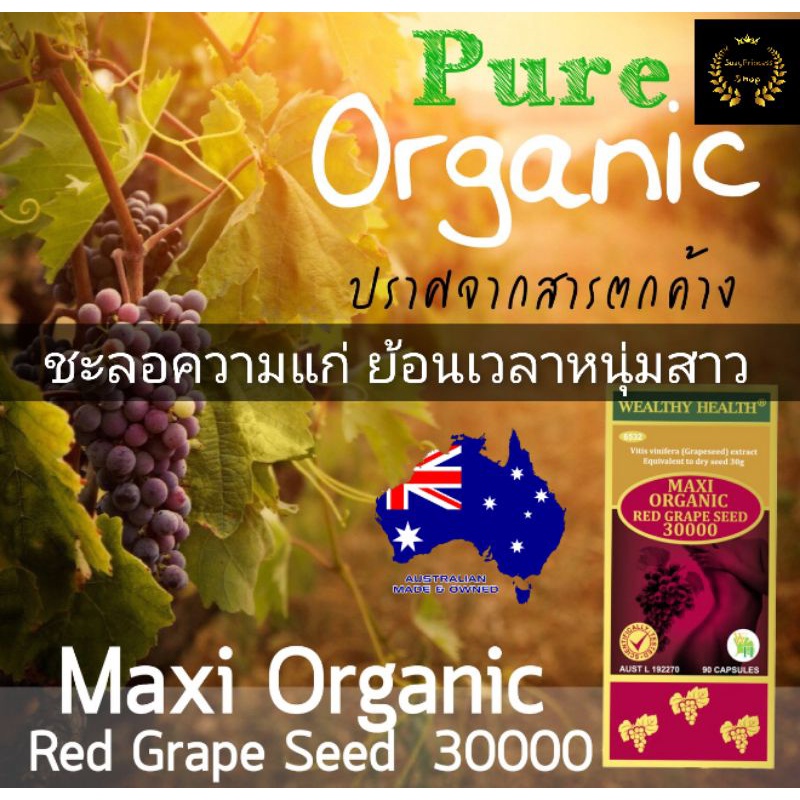 wealthy health maxi organic red Grape seed 30000Exp 07/2028 สารสกัดเมล็ดองุ่น เกรพซีด เมล็ดองุ่น เกร