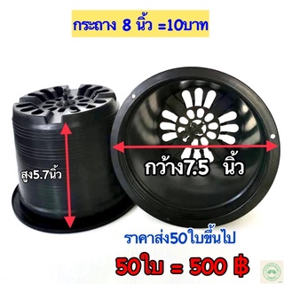 กระถางต้นไม้พลาสติก8นิ้ว กระถาง8นิ้ว50ใบ กระถาง8นิ้วราคาส่ง