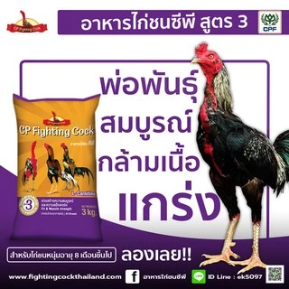 ของใหม่ พร้อมส่ง อาหารไก่ชนซีพี อาหารไก่ชนพรีเมี่ยมจาก cp 3kg. CP Cock Fighting (แถมฟาร์มิน 1ซอง)