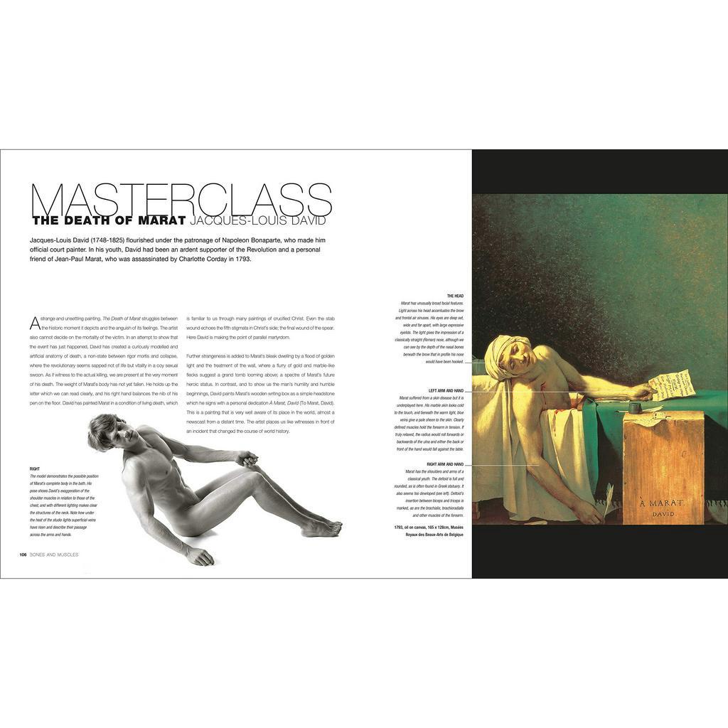 [Querida] หนังสือภาษาอังกฤษ Anatomy for the Artist [Hardcover] by Sarah Simblet อนาโตมี สำรับ อาติส - รูปที่ 5