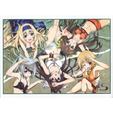 Bushiroad Sleeve IS Infinite Stratos Swimming Suit Extra