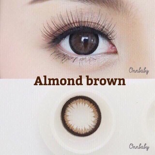 🌟 Pretty doll : Almond Bigeye dia.14.5 bc. 8.8