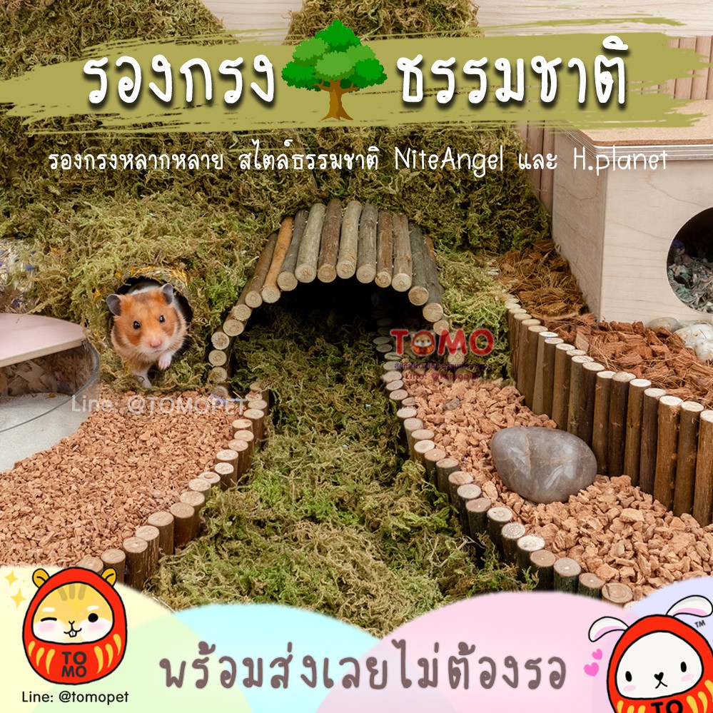 ร้านโทโมะ 💕 รองกรงธรรมชาติ Niteangel, Hedgehog Planet ไม้ก๊อกสับ มอส ทรายซาฮาร่า เอสเพน