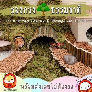 ร้านโทโมะ 💕 รองกรงธรรมชาติ Niteangel, Hedgehog Planet ไม้ก๊อกสับ มอส ทรายซาฮาร่า เอสเพน