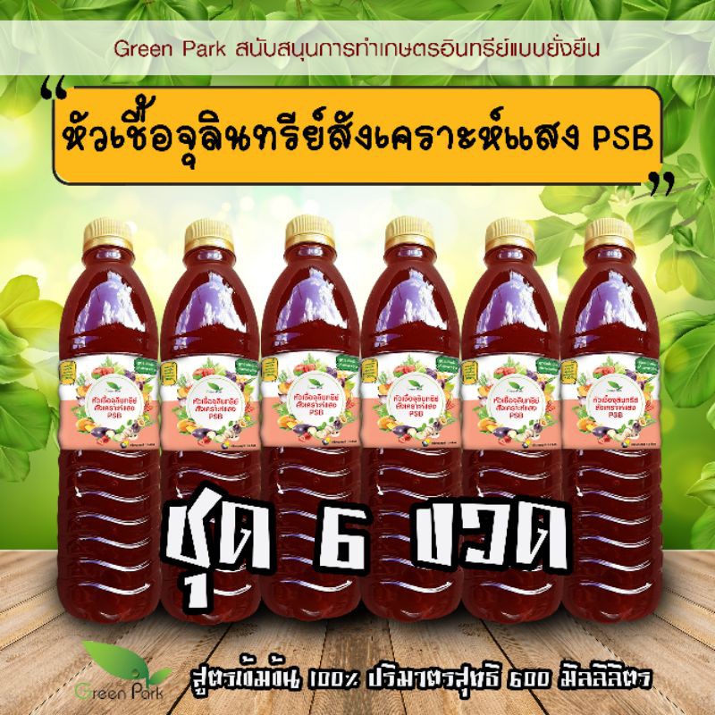 หัวเชื้อ จุลินทรีย์สังเคราะห์แสง PSB ( ชุด 6 ขวด ) ขนาด 600 มล. คุณภาพสูง เห็นผลจริง สูตรเข้มข้น เร่งราก ดอก ผล ดก ดินดี