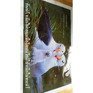 สติ๊กเกอร์กระดาษผิวมันเงา A3 GLOSSY STICKER INKJET A3 จำนวน 20 แผ่น STICKER A3 สติ๊กเกอร์ A3 DEEFA-SPGA3