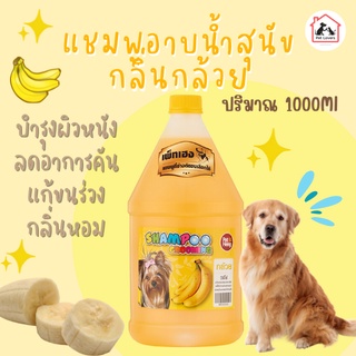 แชมพูอาบน้ำหมา แชมพูบำรุงขนและผิวหนังสุนัข แก้คัน ขนร่วง ป้องกันเห็บหมัด สูตรกล้วย เพ็ทเฮง Petheng [1 ขวด] 1 ลิตร