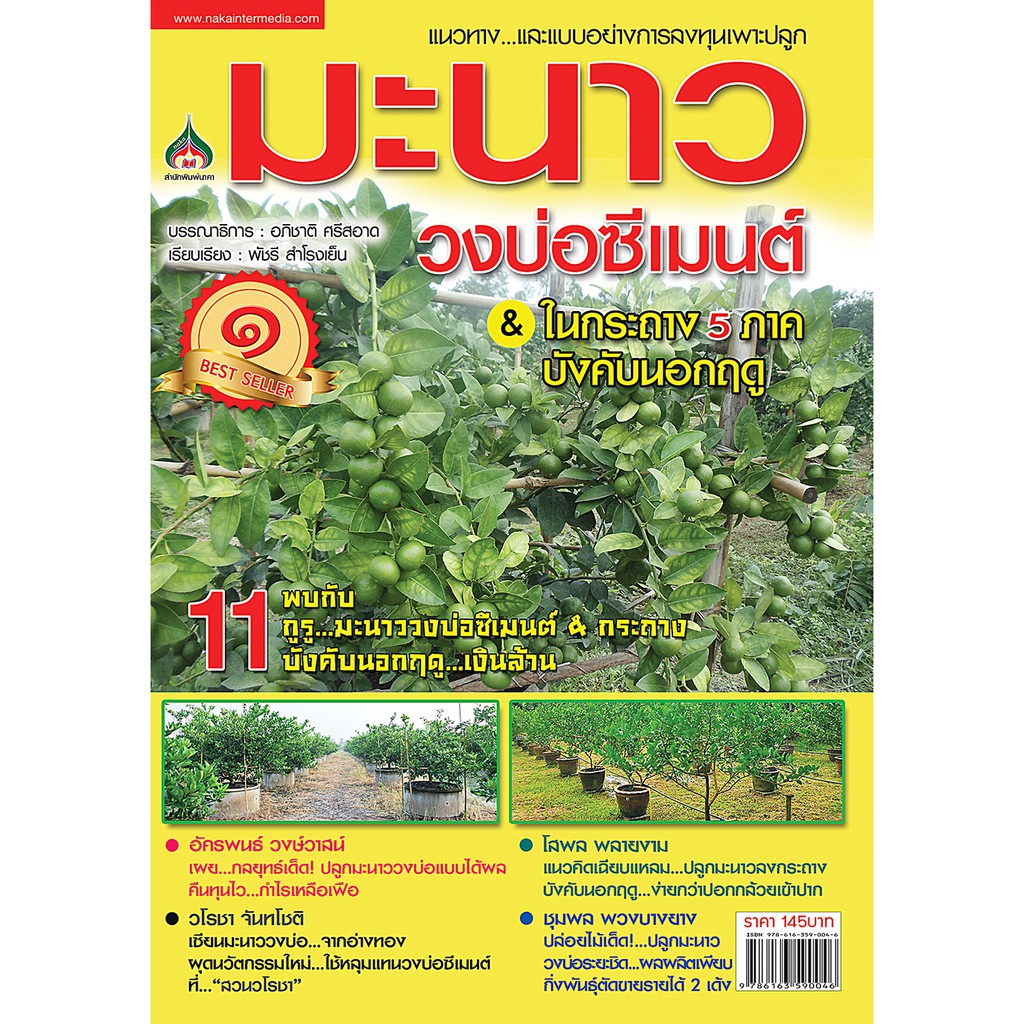 มะนาววงบ่อซีเมนต์ & ในกระถาง 5 ภาค(จาก 145ลดเหลือ98)
