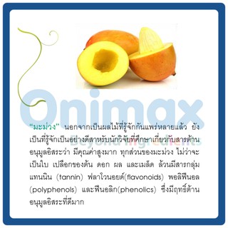 น้ำมันเม็ดมะม่วง Mango seed oil 1,000ml.