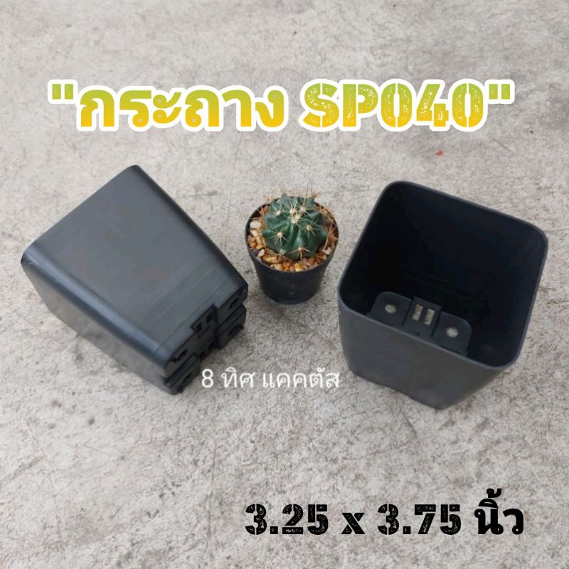 // กระถาง 4 นิ้ว (3.25 นิ้ว) // รุ่นSP040 สี่เหลี่ยม // ไม่มีขอบ พลาสติก แคคตัส กระบองเพชร