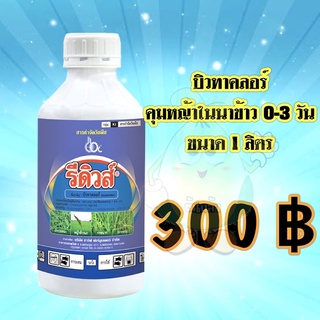 รีดิวส์ บิวทาคลอร์ 60 คุมเลน ข้าว 0-3 วัน กำจัดหญ้าข้าวนก หญ้าดอกขาว ผักปอดนา กก หนวดปลาดุก ขนาด 1 ลิตร