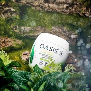 โอเอซิส เจลหอมปรับอากาศ สูตรไล่ยุง กลิ่น ไลฟ์ลี่ กรีน 180 กรัม OASIS MOSQUITO REPELLENT GEL LIVELY GREEN 180g