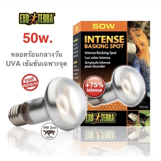 หลอดUVA 50วัตต์ ให้ความร้อนและแสงสว่างในเวลากลางวัน EXOTERRA INTENSE BASKING SPOT LAMP  ขนาด75วัตต์ (75w.)