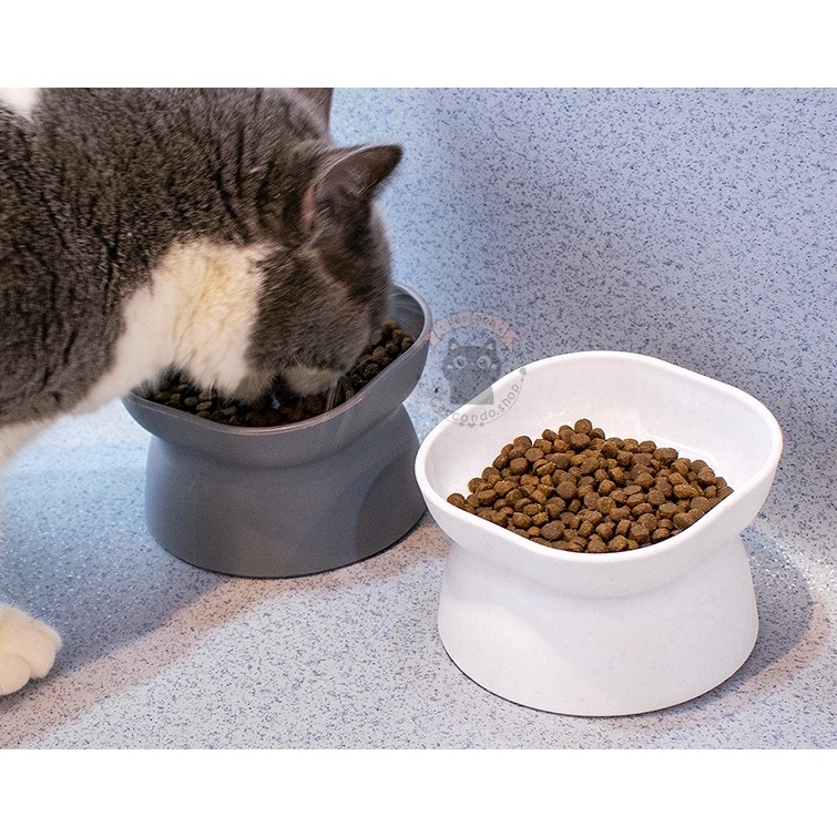 🌵 ชามโมเดิร์น ชามสุนัข มินิมอล ชามอาหารสัตว์เลี้ยง เอียง15องศา ป้องกันกระดูกสันหลัง ใช้ได้2ฝั่ง 🌵 - รูปที่ 5