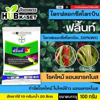 🌱 ฟลิ้นท์(ไตรฟลอกซีสโตรบิน) ป้องกันเชื้อราเมล็ดด่าง แอนแทรคโนส ขนาดบรรจุ 100 กรัม