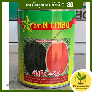 แตงโมลูกผสมอัสนี C-30 250กรัม เมล็ดพันธุ์พืช ตราดาวทอง (PSK เกษตรออนไลน์)