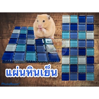 แผ่นคลายร้อน (คละสี)แผ่นหินเย็น สำหรับหนู แผ่นทำความเย็น หินเย็น แฮมเตอร์ hamster hamter