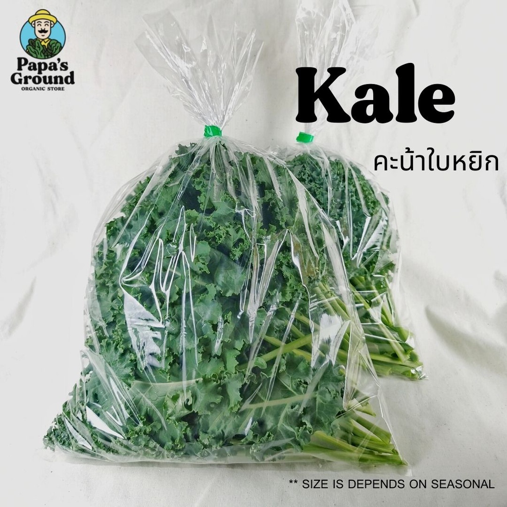💚 เคลสด คะน้าใบหยิก คะน้าอิตตาลี ผักสด ผักปลอดสาร organic ผักไร้สารเคมี แคลเซียมสูง Kale superfood