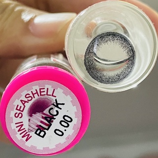 Mini Seashell Black (1)(2) บิ๊กอาย สีดำ ดำ โทนแบ๊ว Kitty Kawaii ค่าอมน้ำสูง Bigeyes คอนแทคเลนส์ ค่าสายตา สายตาสั้น แฟชั่