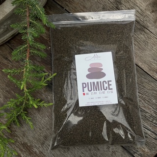 หินภูเขาไฟ แพ็คถุง 1kg เบอร์ 00  สำหรับผสมวัสดุปลูก Pumice 1-3mm