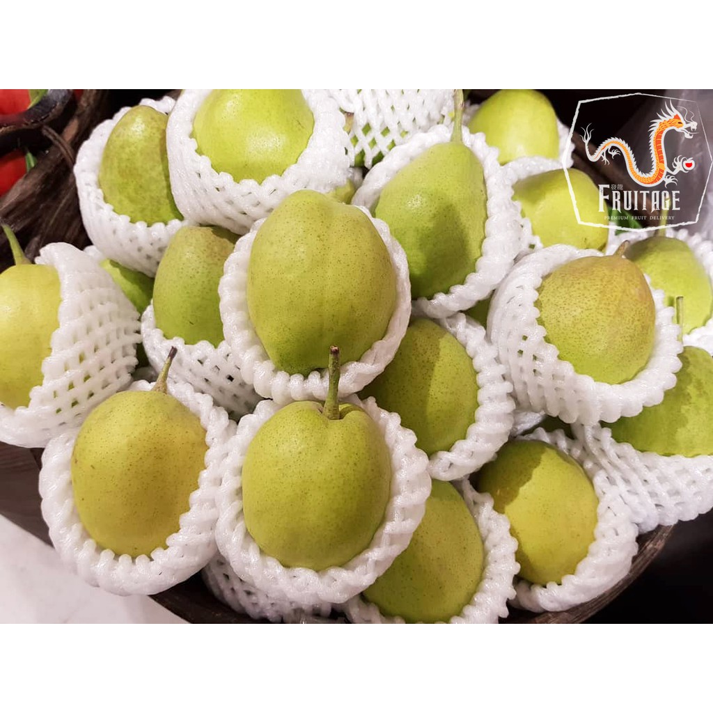 สาลี่หอม Fragrant Pear (6ลูก/8ลูก) (CHN) นำเข้า ~ลดพิเศษ~ส่งฟรี~ หอม อร่อย ! ผลไม้ต่างประเทศ ผลไม้พร