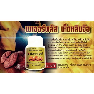 เห็ดหลินจือ เนเจอร์-พลัส (Nature-Plus) 50แคปซูล