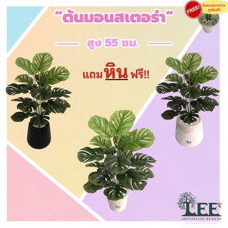 ( Minimal Style ! ) ต้นมอนสเตอร่ามินิ 18ใบ สูง 55 ซม. ต้นไม้ปลอมตกแต่งบ้าน Leeartplants