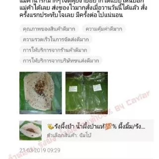 ❇️รังผึ้งป่า ไซส์เล็กถึงกลาง🐝 รังผึ้งป่าของหาทานยาก น้ำผึ้งป่าแท้💯% #Bycaviar
