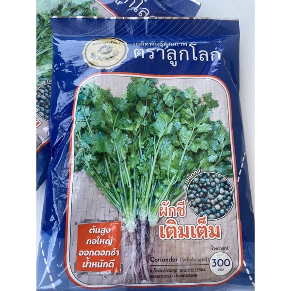 ผักชีไทยเมล็ดกลมคัดพิเศษ นำเข้าจากฝรั่งเศส   สิ้นอายุทำพันธุ์   10  / 70