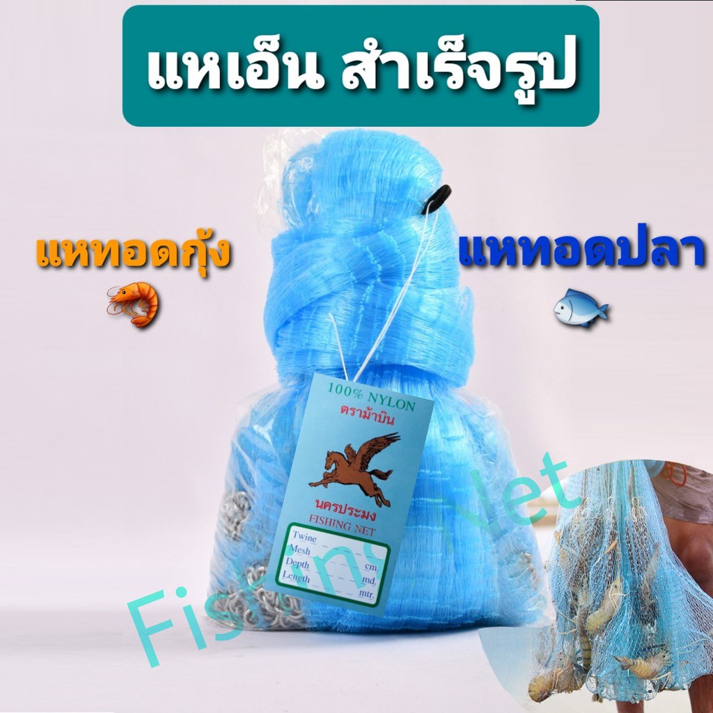 My Image 22