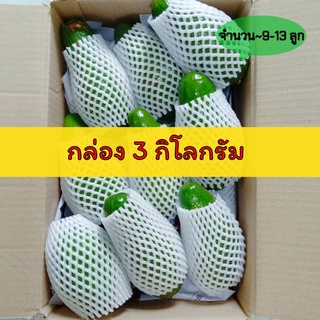 อโวคาโด (กล่อง 3 kg) ดอยอ่างขาง อร่อยมากคัดคุณภาพอย่างดีแก่จัดมัน เหนียว หอม