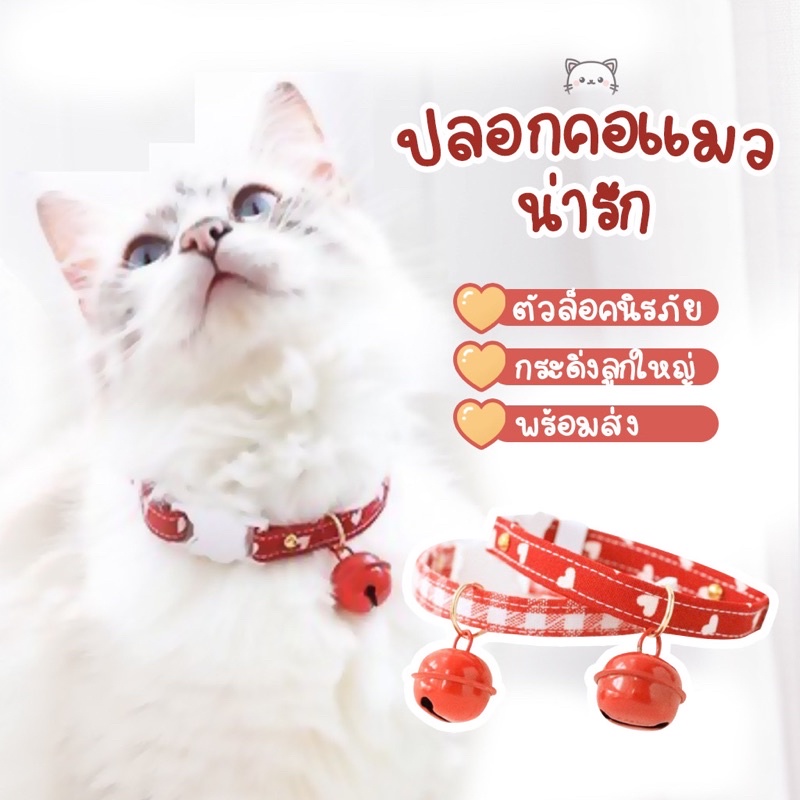 พร้อมส่ง ปลอกคอแมว#ปลอกคอแมวนิรภัย #ปลอกคอแมวกระดิ่งลูกใหญ่#ปลอกคอแมวกระพรวน#ปลอกคอแมวคุณหนู