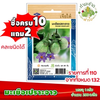 (ซื้อ10แถม2) เมล็ดพันธุ์ มะเขือเปราะ จาว Round eggplant ประมาณ 200เมล็ด เจียไต๋ เมล็ดพันธุ์พืช เมล็ดพันธุ์ผัก เมล็ดผัก