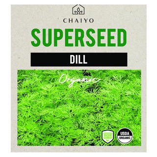 เมล็ดพันธุ์ผักชีลาว ชัยโย 250 เมล็ด DILL (ORGANIC) 250 SEEDS