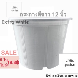 Little กระถางขาว 12  นิ้ว(สีขาวออร่าA+🤍)(สีใสA+💎) 10 นิ้ว 10.5 นิ้ว