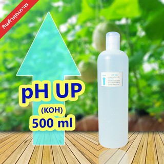 น้ำยาเพิ่มค่าพีเอช​ pH​ Up​ 500ml (โพแทสเซียมไฮดรอกไซด์ KOH)