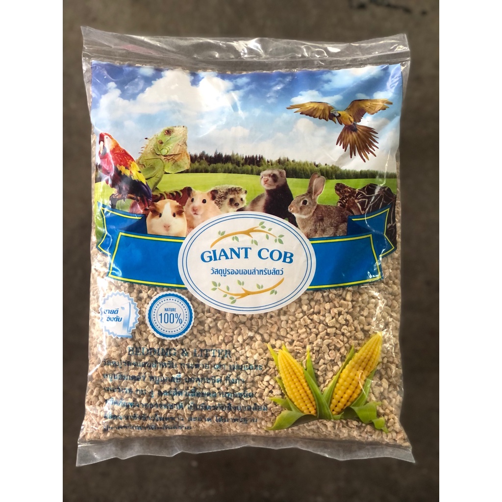 ซังข้าวโพด Giant Cob รองกรง สำหรับ นก หนู กระต่าย แกสบี้ รูปที่ 6