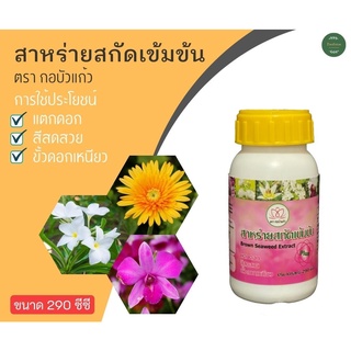 สาหร่ายสกัดเข้มข้น Brown Seaweed Etract