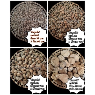 หินภูเขาไฟ Size 00,02  น้ำหนัก 1 กิโล หินภูเขาไฟ Pumice (พัมมิส)