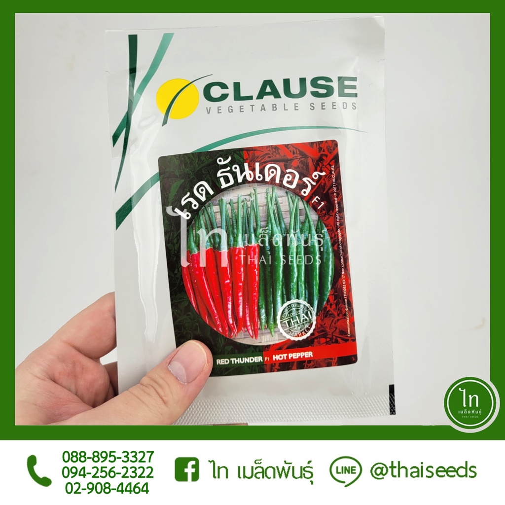 พริกขี้หนู เรด ธันเดอร์ เมล็ดพันธุ์ พริกขี้หนู ลูกผสม ตรา CLAUSE บรรจุ 50/20 กรัม