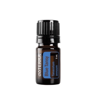 Blue Tansy Oil  Tanacetum annuum 5ml.