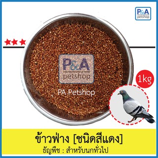 ข้าวฟ่างนก/ ชนิดสีแดง [ธัญพืชสำหรับนก] 1kg