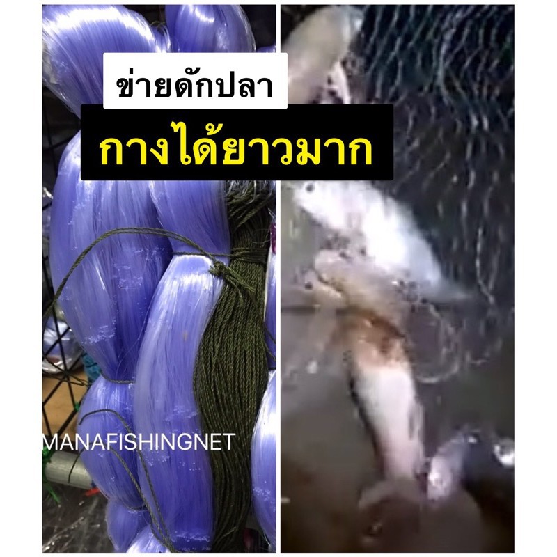 ตะข่าย มอง ดาง อวน #ดักปลา รุมเชือกบน ป้าย 100 เมตร มีตา 5/6/7/8/9/10/11/12 เซ็น ให้เลือก