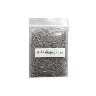 โปรโมชั่น : เมล็ดพันธุ์ ดอกคอสมอส 1000 เมล็ดMixed Seeds