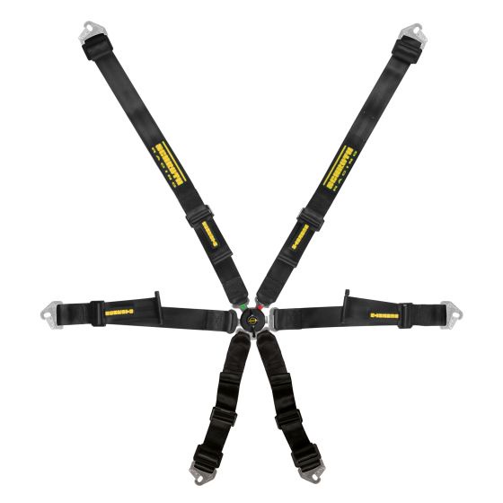 เข็มขัดนิรภัย Schroth Profi 2x2 Harness