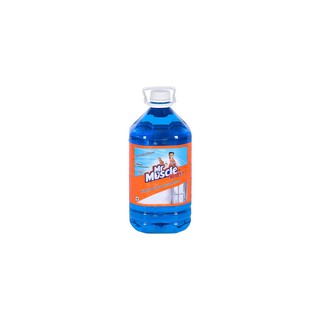 น้ำยา ทำความสะอาด กระจก 5.2L WINDEX | WINDEX | 7326 น้ำยาทำความสะอาด อุปกรณ์ความสะอาด จัดเก็บและทำความสะอาด น้ำยา ทำความ