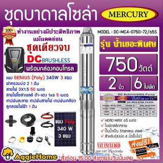 MERCURY SET ปั๊มบาดาล รุ่น DC-MC-0750-72/65S 750วัตต์ ท่อออก2นิ้ว+แผงGENIUS POLY 340วัตต์ 3แผง