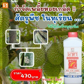 กำจัด เพลี้ยหอยเกล็ด ศัตรูพืชในต้นทุเรียน มาคา สารอัลคาลอยด์สกัดจากธรรมชาติ